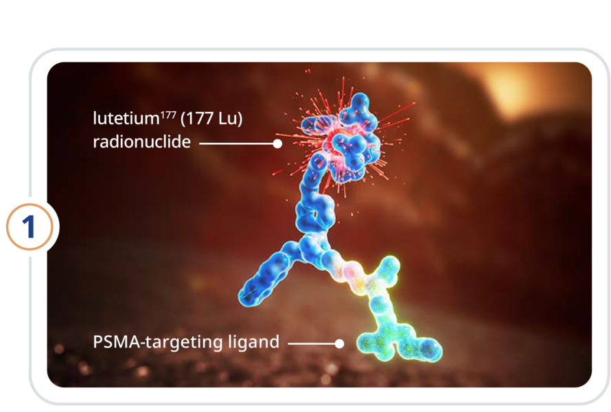 Lutetium177(177 Lu) radionuclide and PSMA-targeting ligand