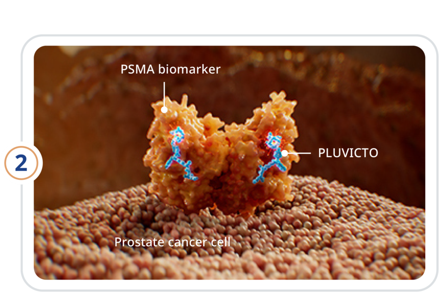 PSMA biomarker, PLUVICTO, and prostate cancer cell