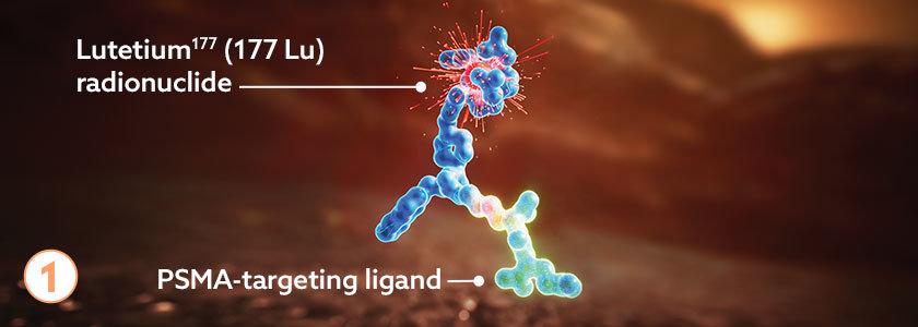 Lutetium177 (177 Lu) radionuclide and PSMA-targeting ligand