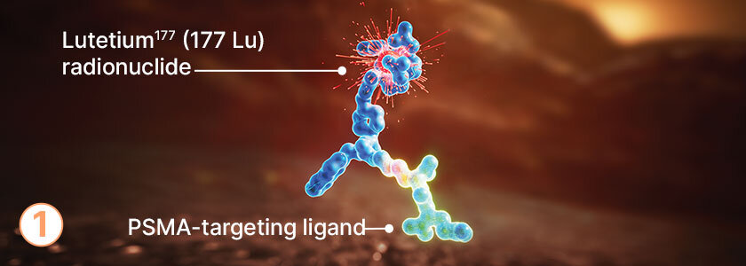 Lutetium177 (177 Lu) radionuclide and PSMA-targeting ligand