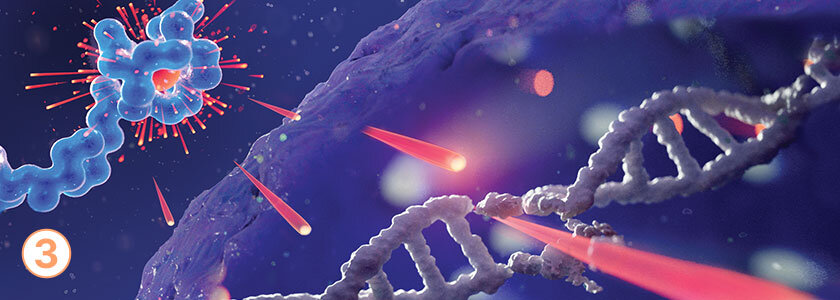 Lutetium-177, the cytotoxic radionuclide of PLUVICTO, emits DNA-breaking radiation within the cell.
