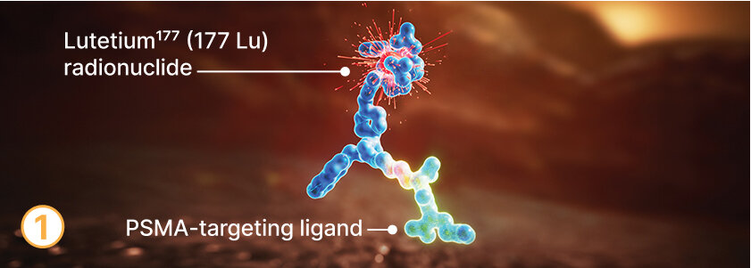 Lutetium177 (177 Lu) radionuclide and PSMA-targeting ligand