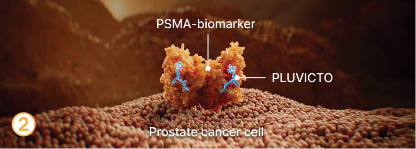PSMA biomarker, PLUVICTO, and prostate cancer cell